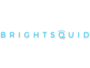 Brightsquid